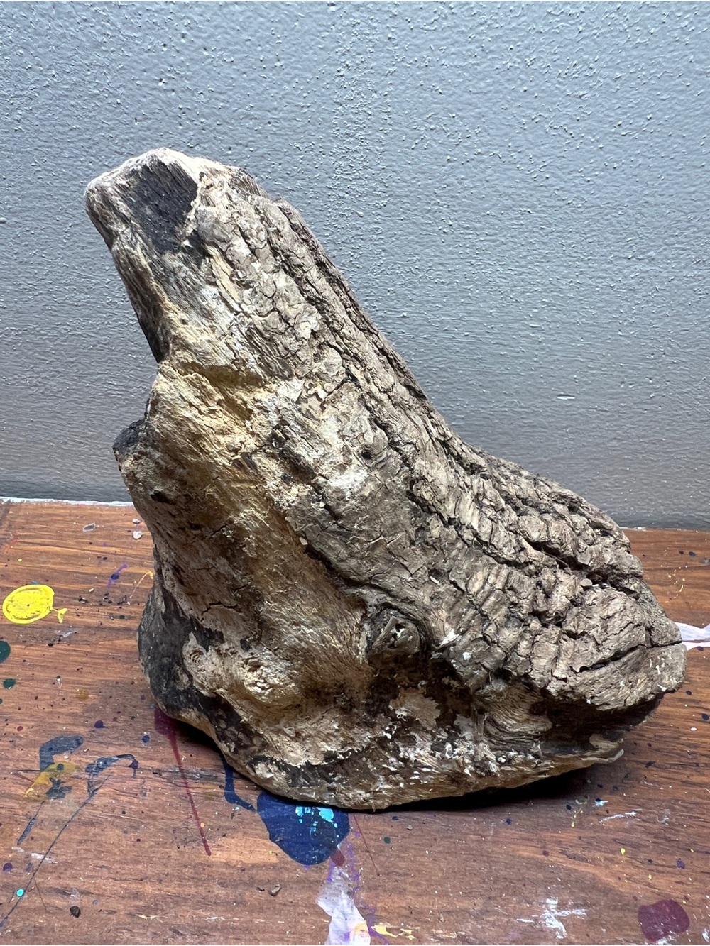 Natural Brown driftwood found on the James River